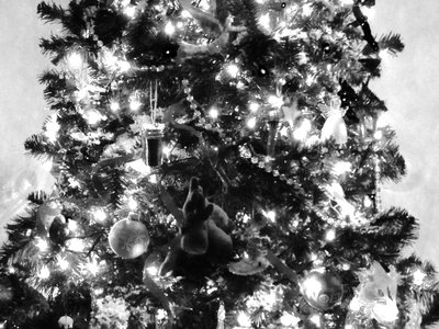 Merry Christmas from the Ricchioâ€™s!