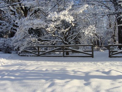 Neal Phillips photo