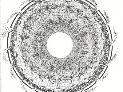 AMOEBA STARFISH photo