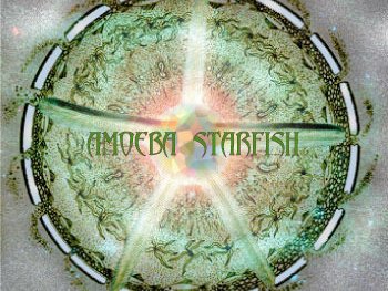 AMOEBA STARFISH photo