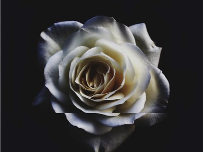 BEX photo