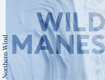 Wild Manes photo