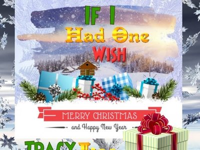 Tracy Lee photo