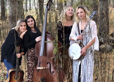 The Loose Strings Band photo