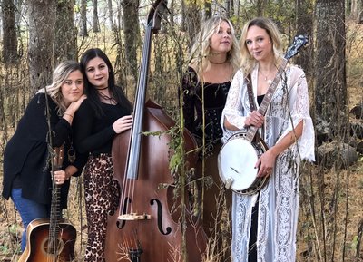 The Loose Strings Band photo