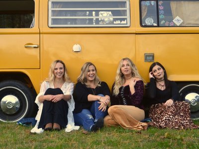 The Loose Strings Band photo
