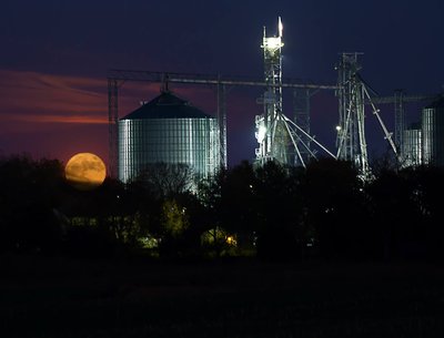 Steve Tichenor photo