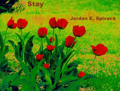 Stay single cover