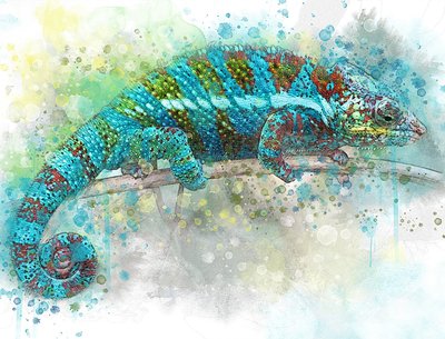 Chameleon Single 2