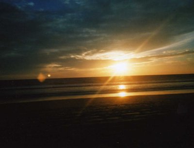 2 SUNS photo