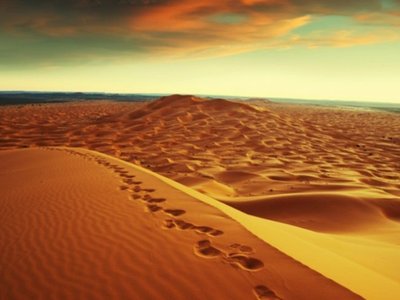 Wilderness Experience - Life sometimes takes us on an uncomfortable journey to get to greatness.