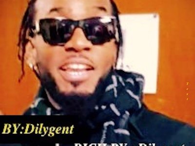 Dilygent photo