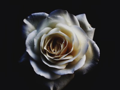 Paul Clark photo