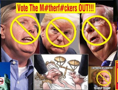 Vote The M3therf#ckers OUT!