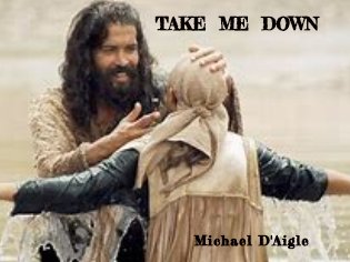 TAKE ME DOWN