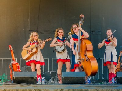 Fox Crossing Stringband photo