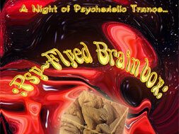Psy-Flyed Brainbox Potsdam In/Outdoor· Sa., 4. Okt. 2003, 22:00 - So., 5. Okt LIVE & DJ Mainfloor