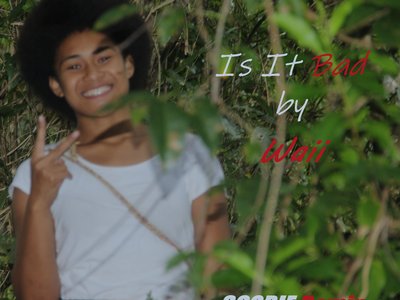 SCOBIE Remix photo