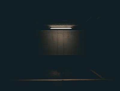 Silhouette photo