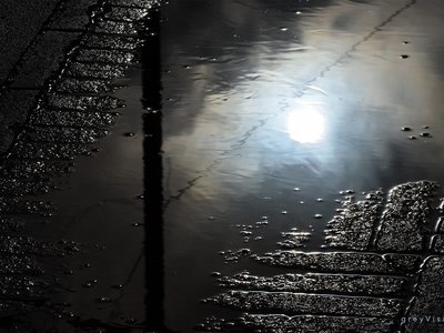 greyVision photo