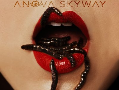 Anova Skyway photo
