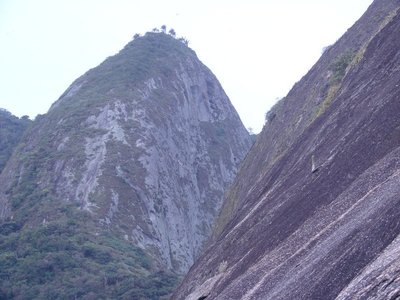 Aurea Regina De Oliveira Coelho photo