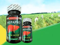 thuá»‘c giáº£i Ä‘á»™c gan Hepapro
