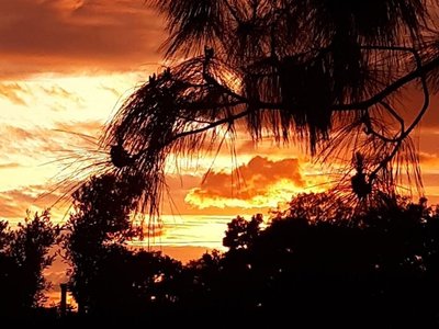 Debbie Kauble photo