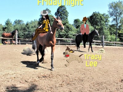 Tracy Lee photo