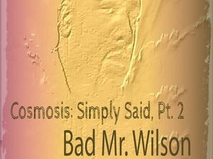 Cosmosis: Simply Said Pt. 2
