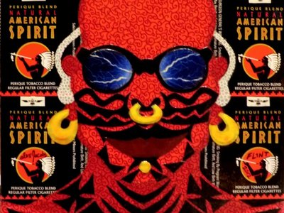 ipod NDN or Black Flint by Alex Jacobs, cover to THIS IS A TERRORIST ACT