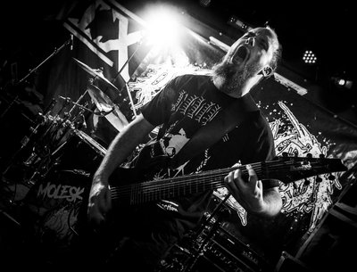 picture by Marcin PawÅ‚owski