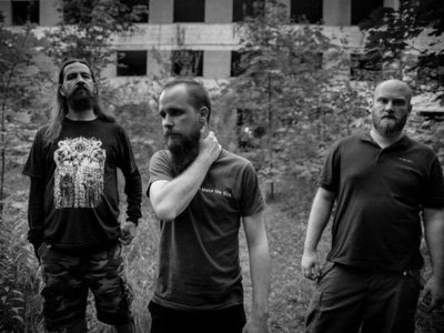 Whalesong 2017 / picture by MichaÅ‚ Biel