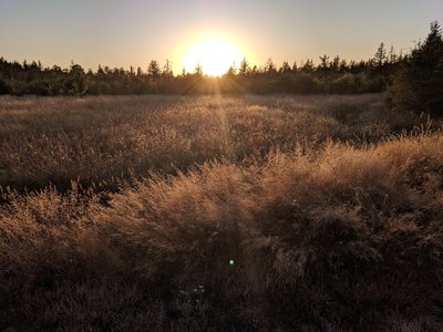 Dämmerung
