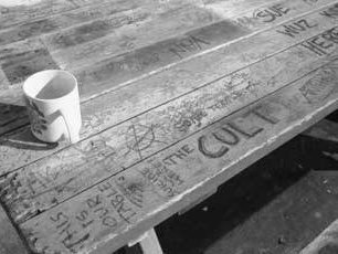 LMS-Picnic Table