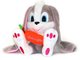 bunny of fun