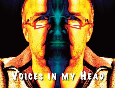 https://pinkdolphinmusic.bandcamp.com/merch/limited-edition-double-cd-voices-in-my-head-by-1i2c
