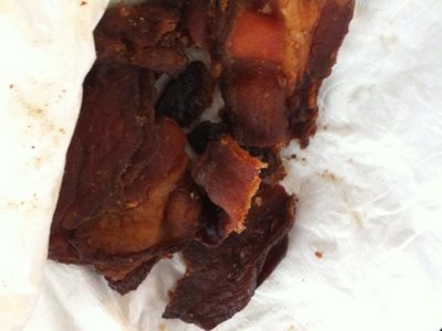 Bacon-Bits