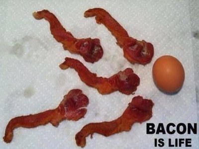 Bacon-Is Life