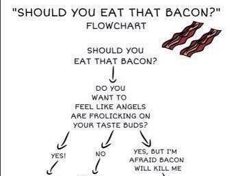 Bacon-Flow Chart
