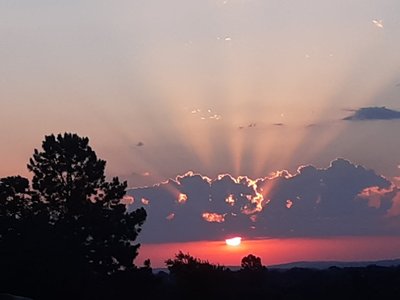 Debbie Kauble photo