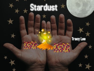 Tracy Lee photo