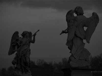 greyVision photo