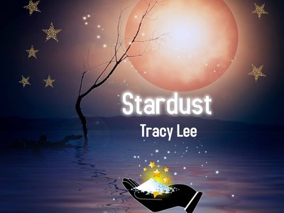 Tracy Lee photo