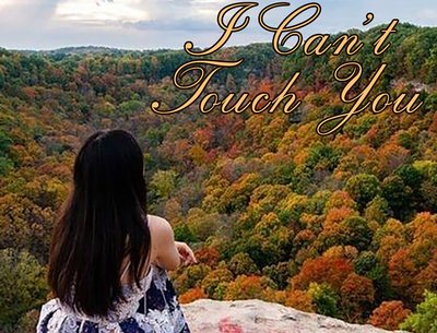 I Can't Touch You - Donna's New Single