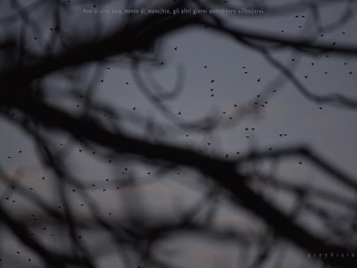 greyVision photo