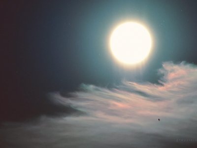 greyVision photo