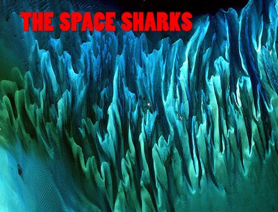 The Space Sharks photo