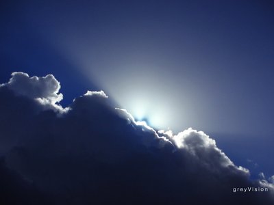 greyVision photo