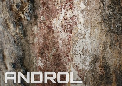 Androl photo